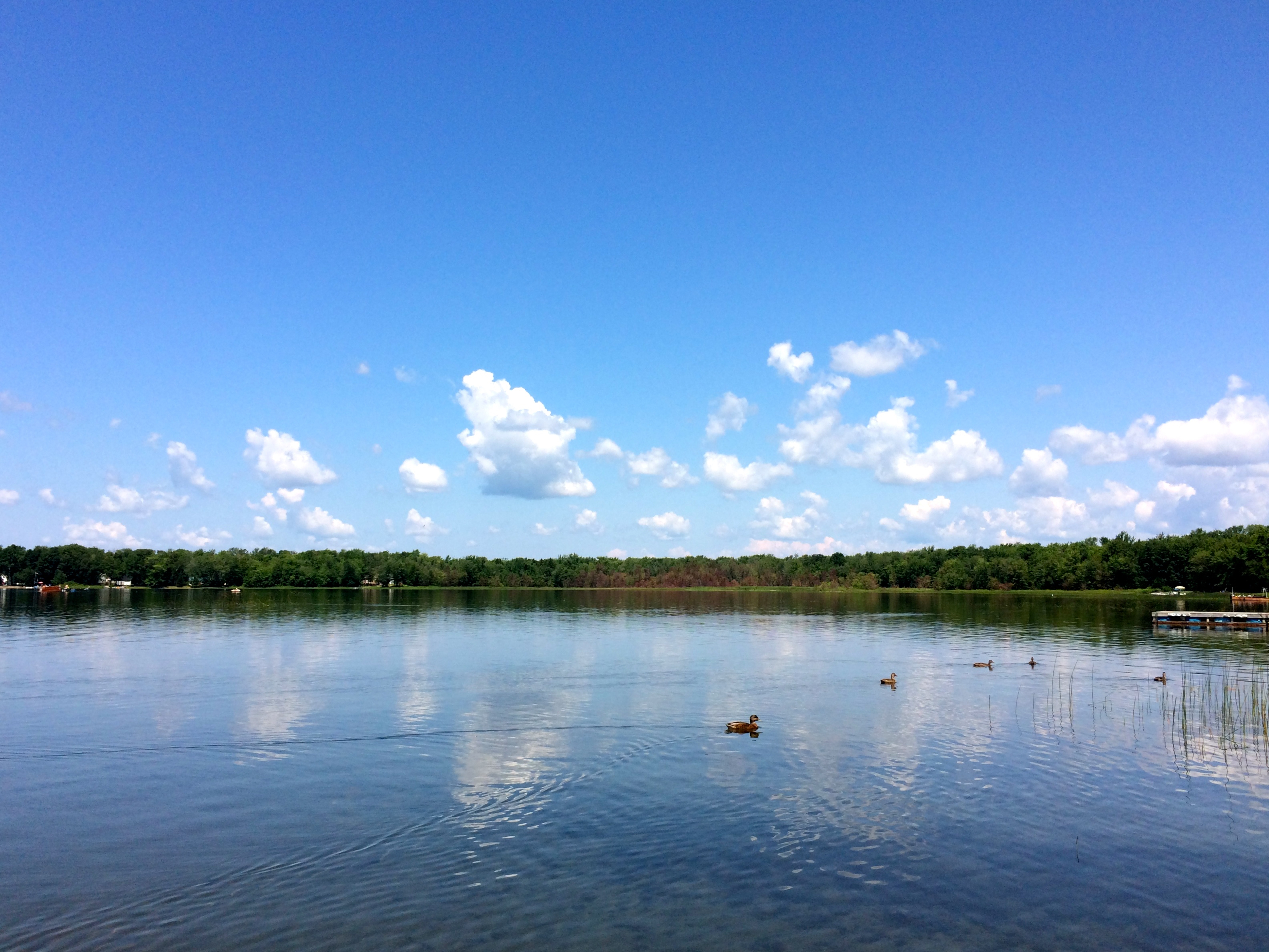 Young Lake