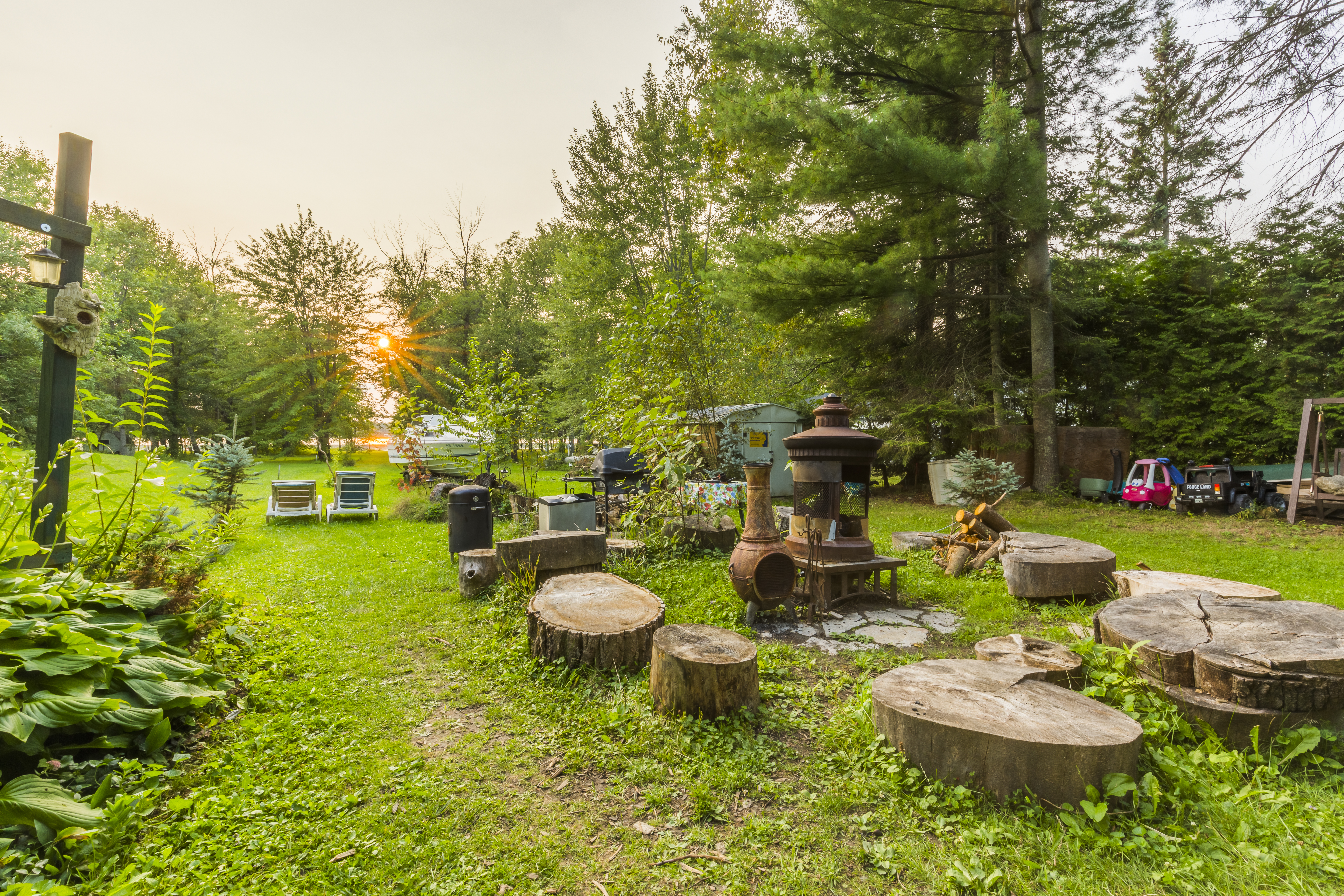 Firepit and BBQ