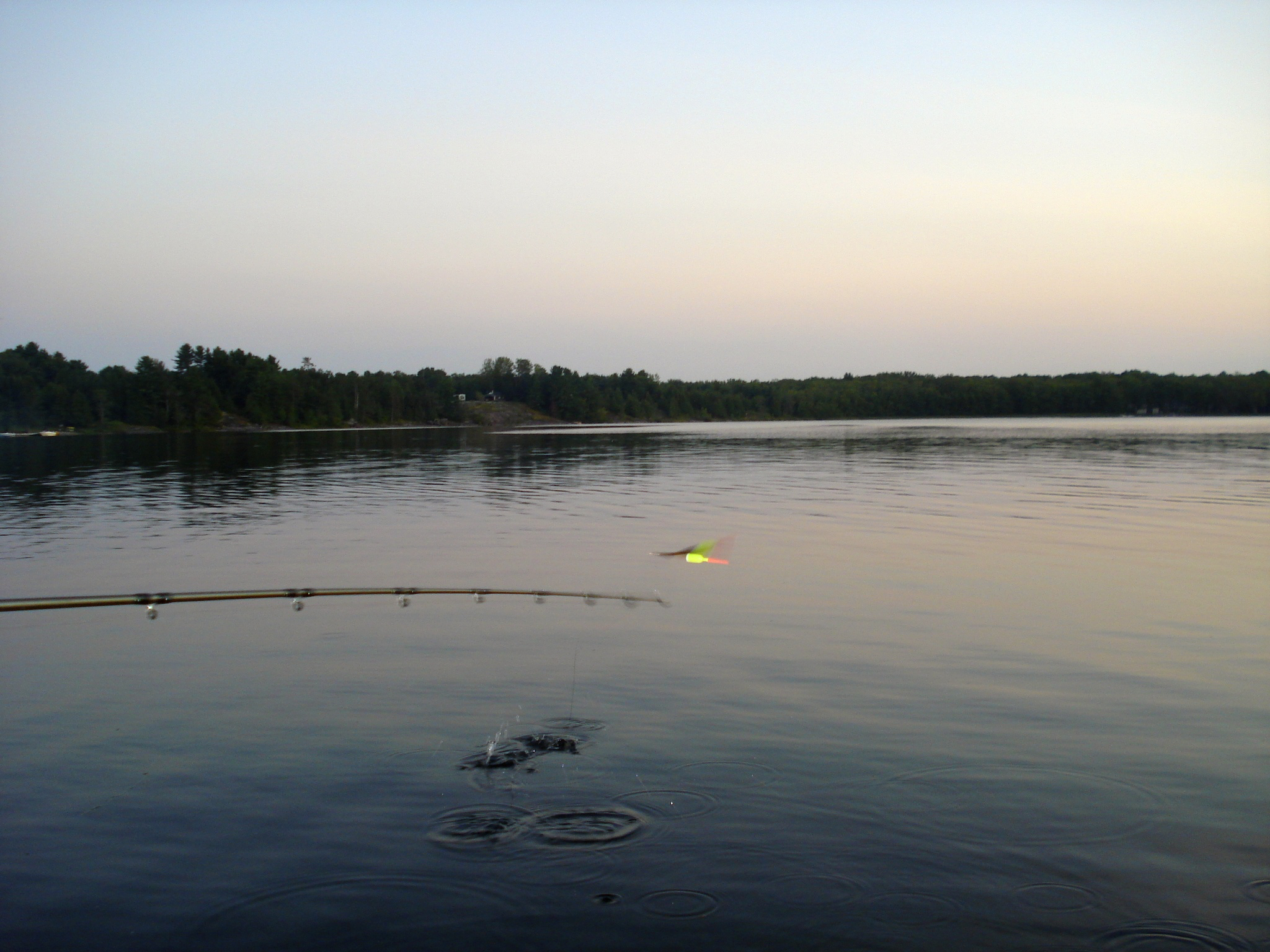 Young Lake