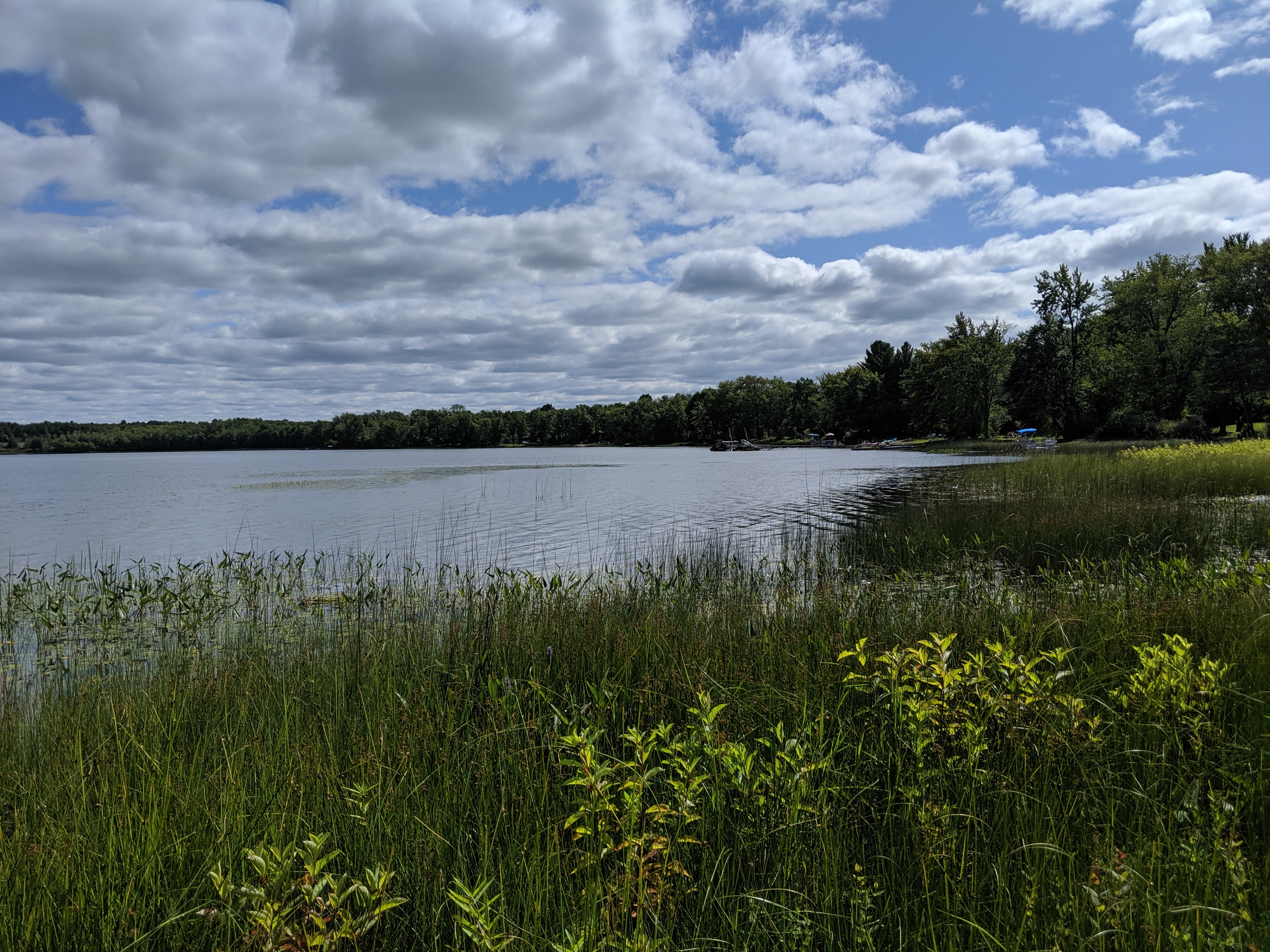 IMG_20190824_150524.jpg