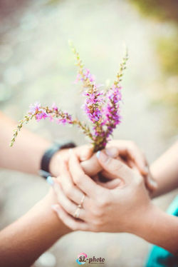свадебный фотограф Волгоград, Крым