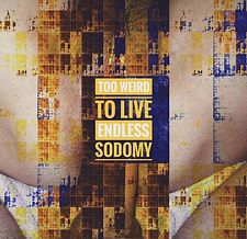 Cover Endless Sodomy