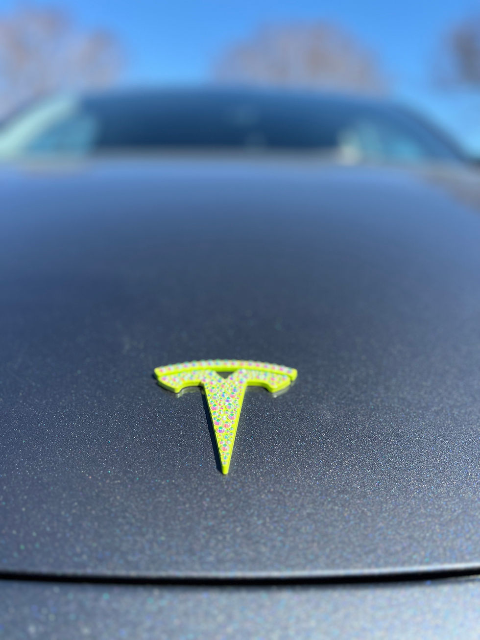 Bling your Tesla logo