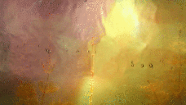 luminous landscapes