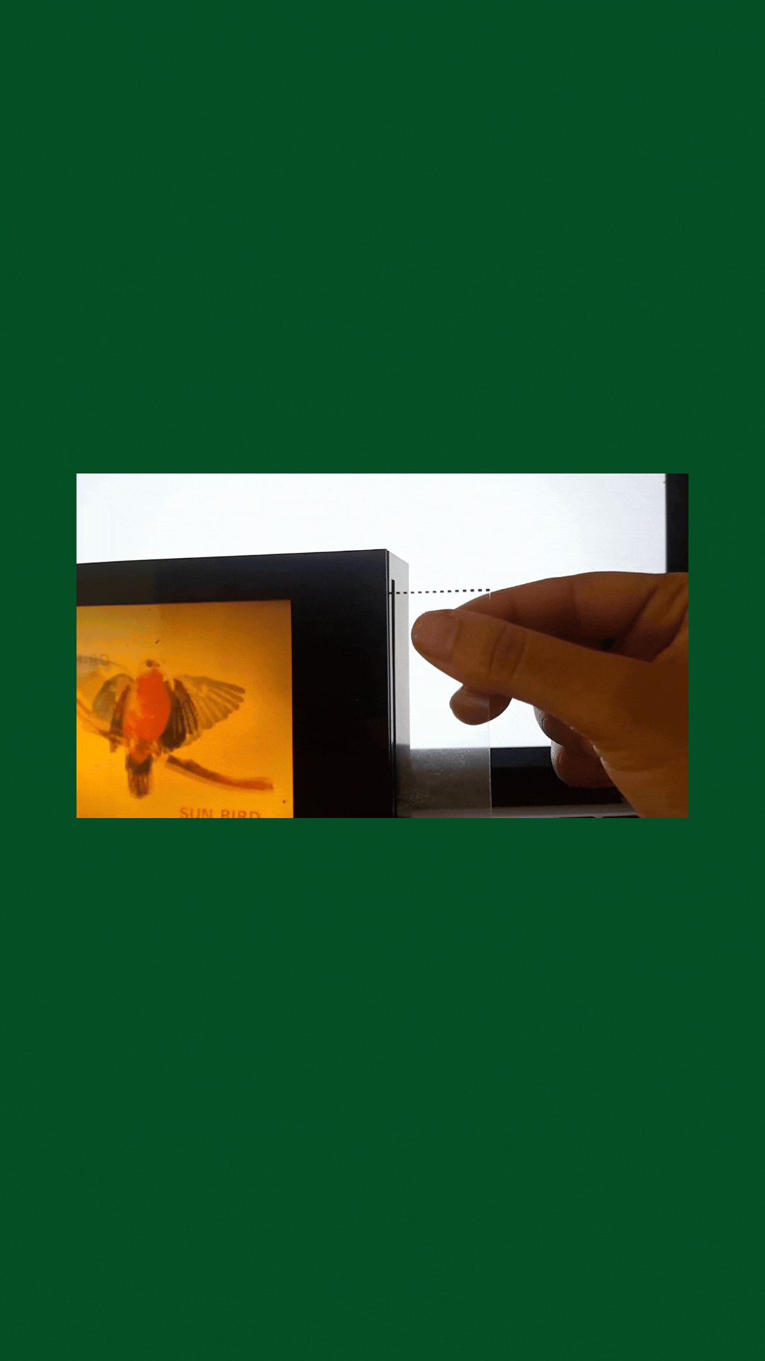 muso_momm_farha_video.gif