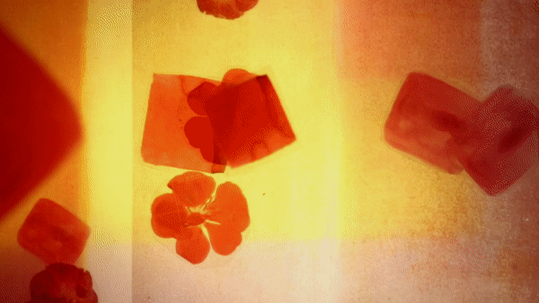 luminous