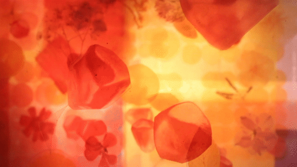 luminous landscapes