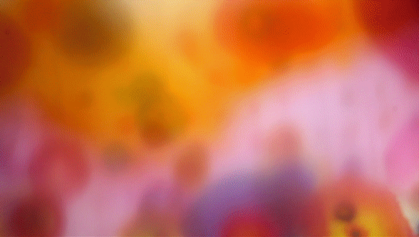 luminous landscapes