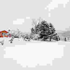 A Sunny Vermont Winter Day