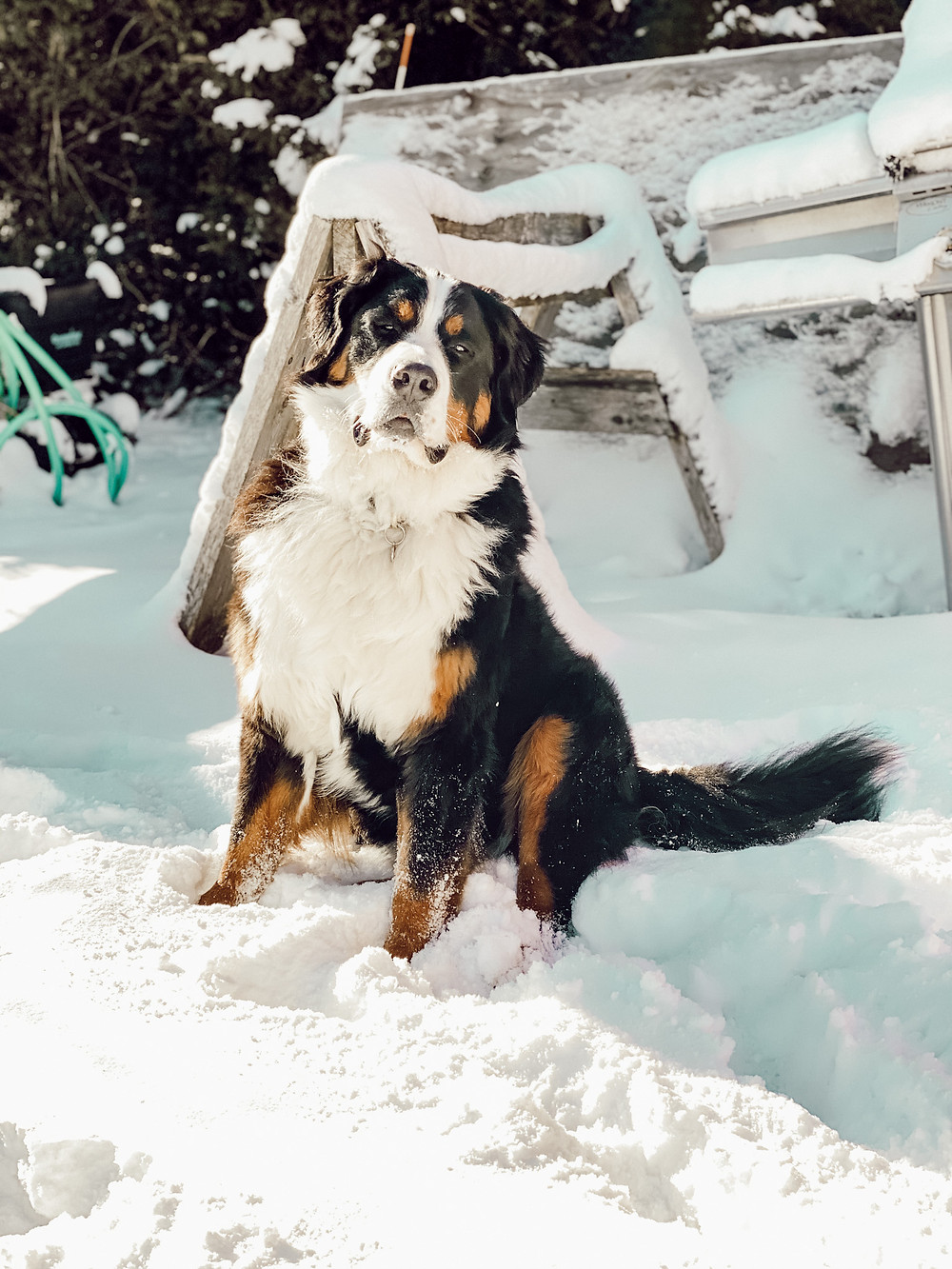 A Sunny Vermont Winter Day