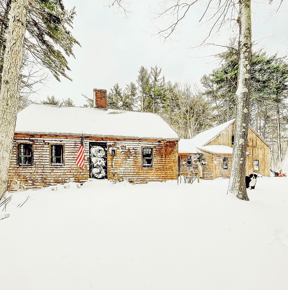 A Beautiful Snow Day on the Seacoast