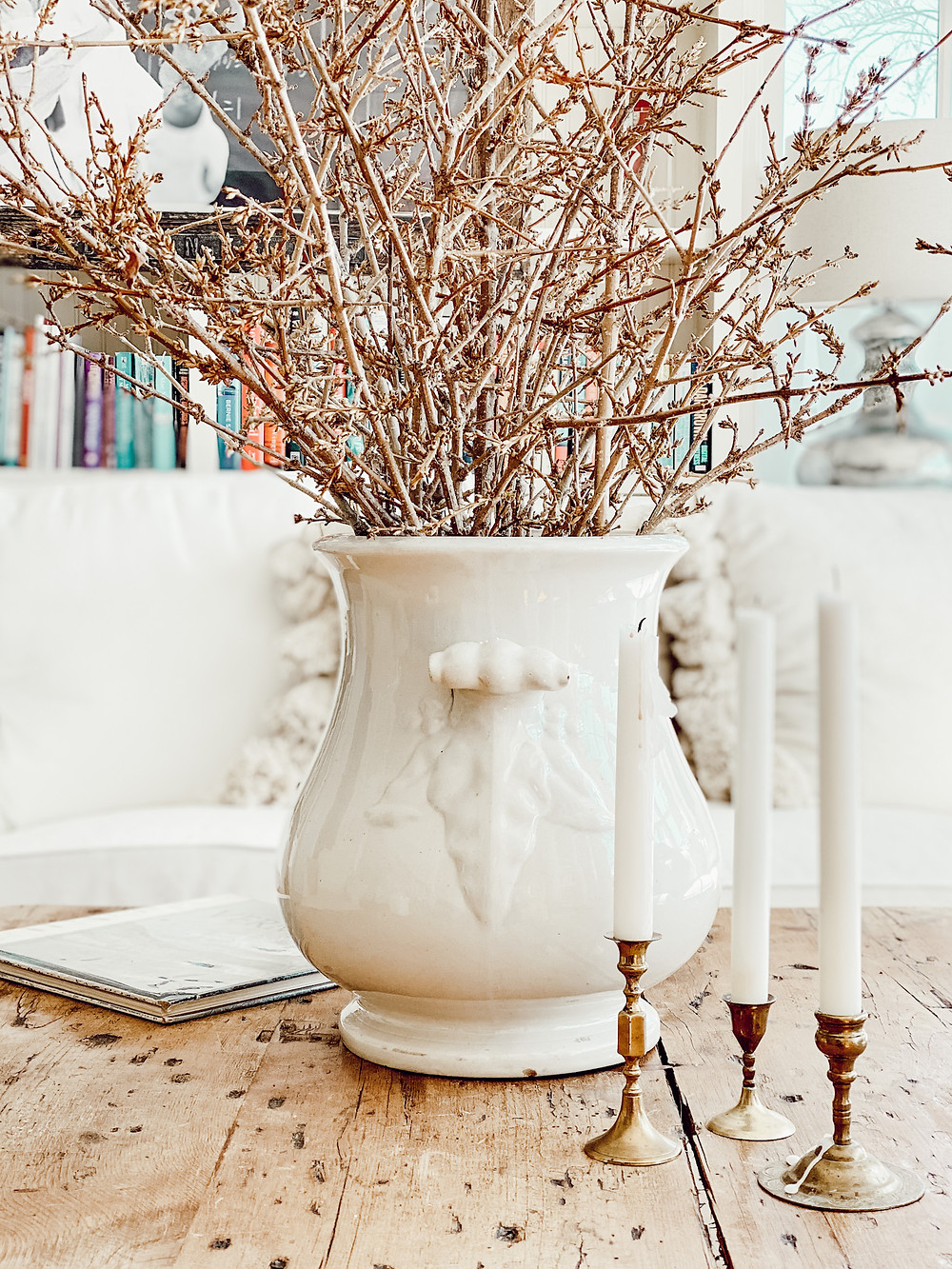 Forcing Forsythia Branches into a Beautiful Spring Flower Arrangement