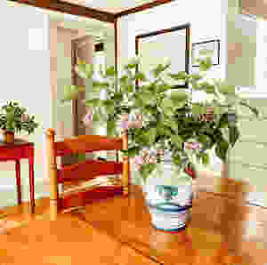 Showcasing Aged Architectural House Drawings