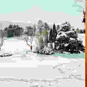 A Sunny Vermont Winter Day