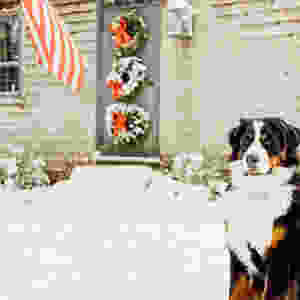 Christmas Front Door
