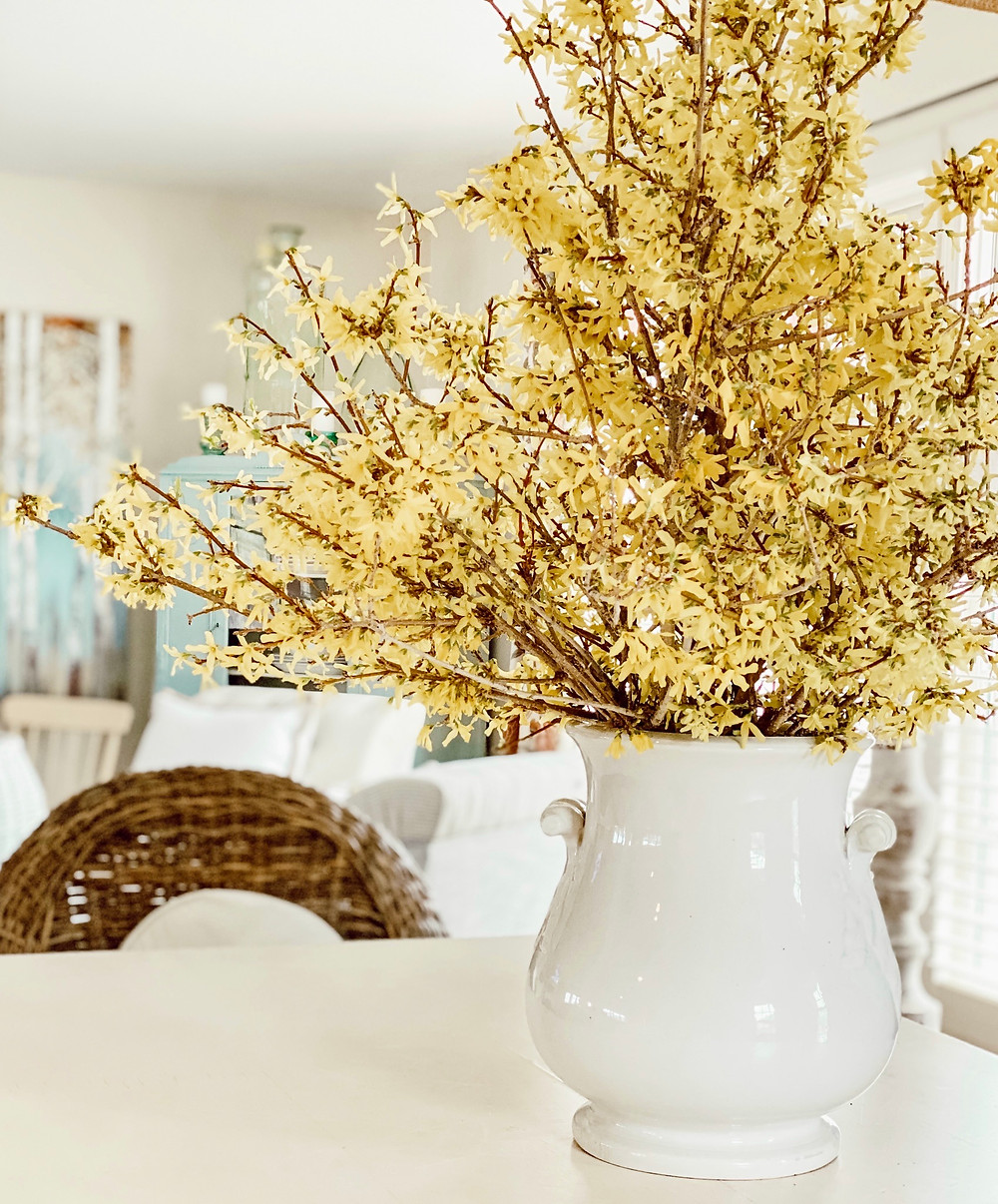 Forcing Forsythia Branches into a Beautiful Spring Flower Arrangement