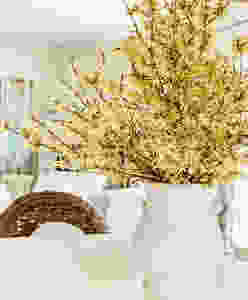 Forcing Forsythia Branches into a Beautiful Spring Flower Arrangement