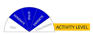 Moderate-Active-Energetic.JPG