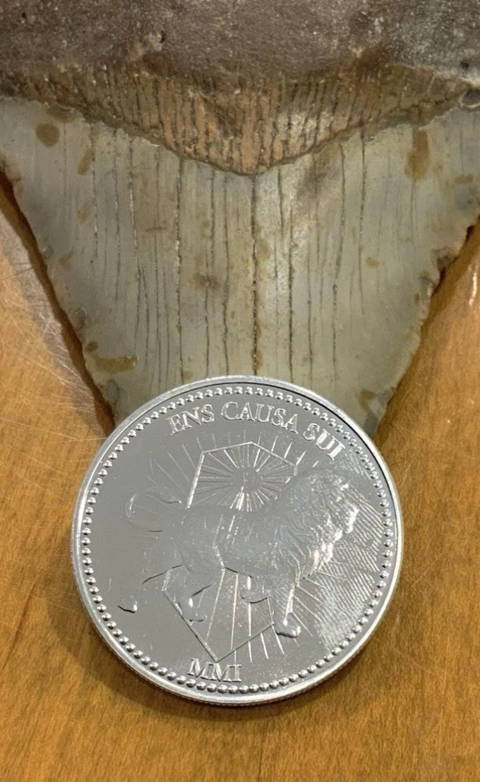 1-oz .999 Silver John Wick Rounds. 