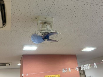 扇風機の取り付けもやってます。