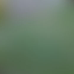 The Quiet Power of Acceptance