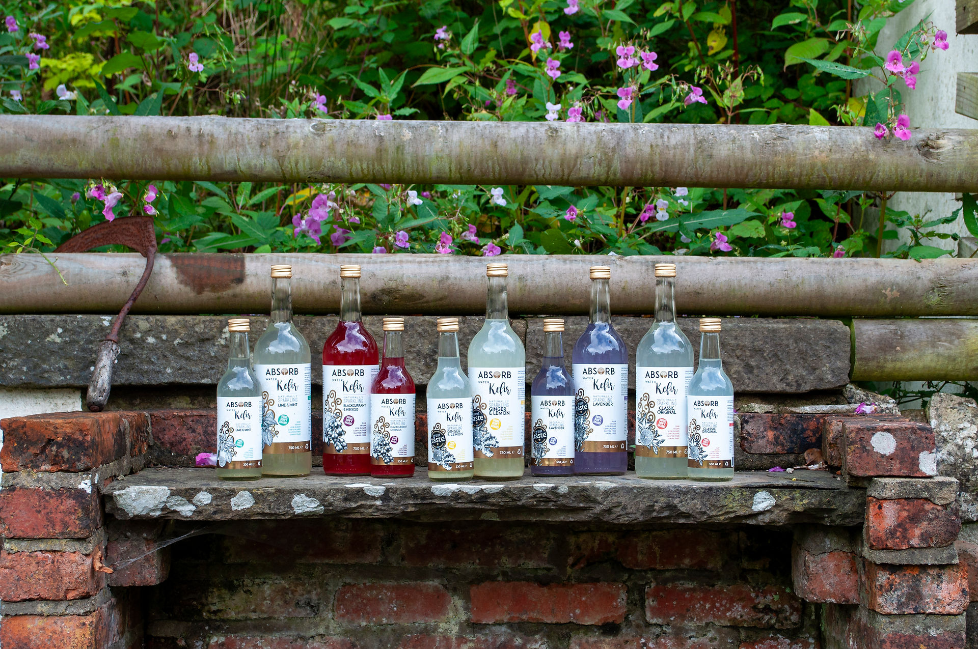 The full range of Absorb Water kefir
