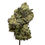 Thumbnail: MAC1 FLOWER