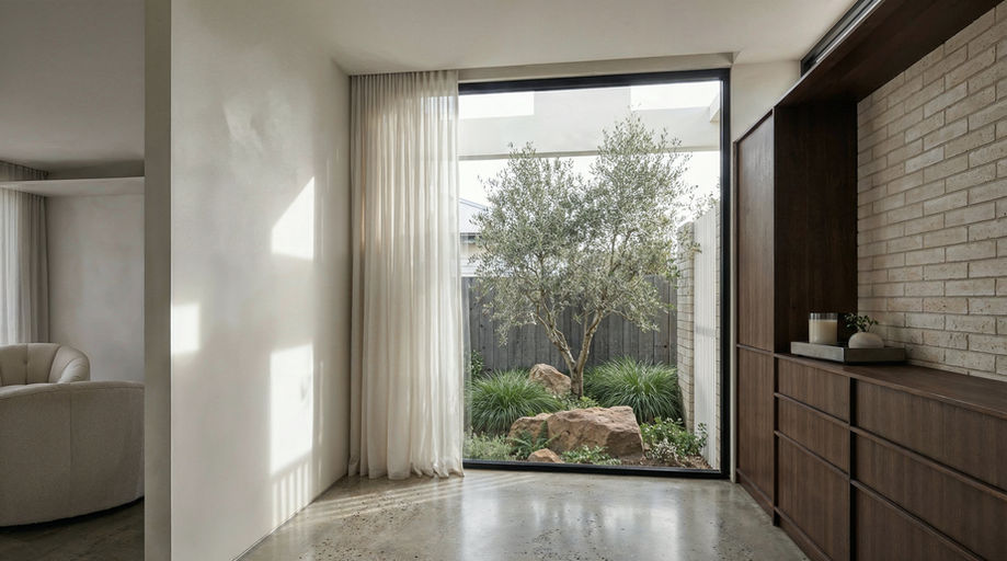 Entry hall at Canopy House in Box Hill North featuring full-height window, framed courtyard garden with olive tree, polished concrete floor and custom timber joinery.