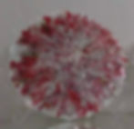 Vidro 4