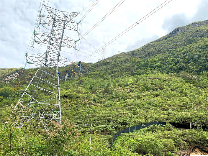Line Surge Arresters, Lightning Arrester, Surge Protective Devices, Power system Insulation Coordination, Consulting