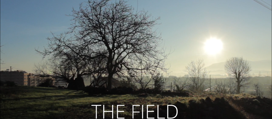 The Field, an ongoing project