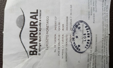Ejemplo Boleta.jpg