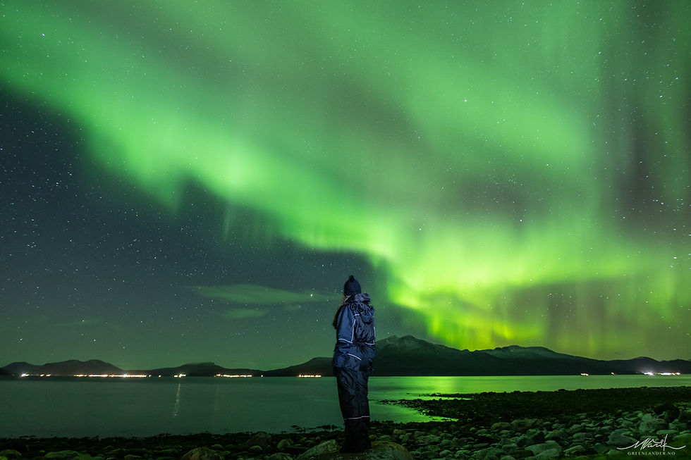 Me watching the Northern Lights close to Tromsø, Norway - Credits: Greenlander.no