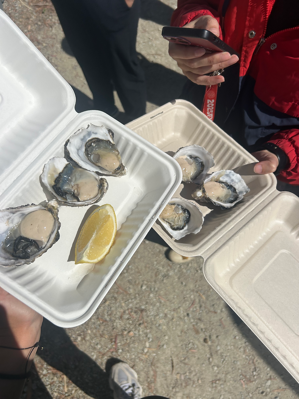 Best oysters I've ever had in my life at Get Shucked, Bruny Island, Tasmania