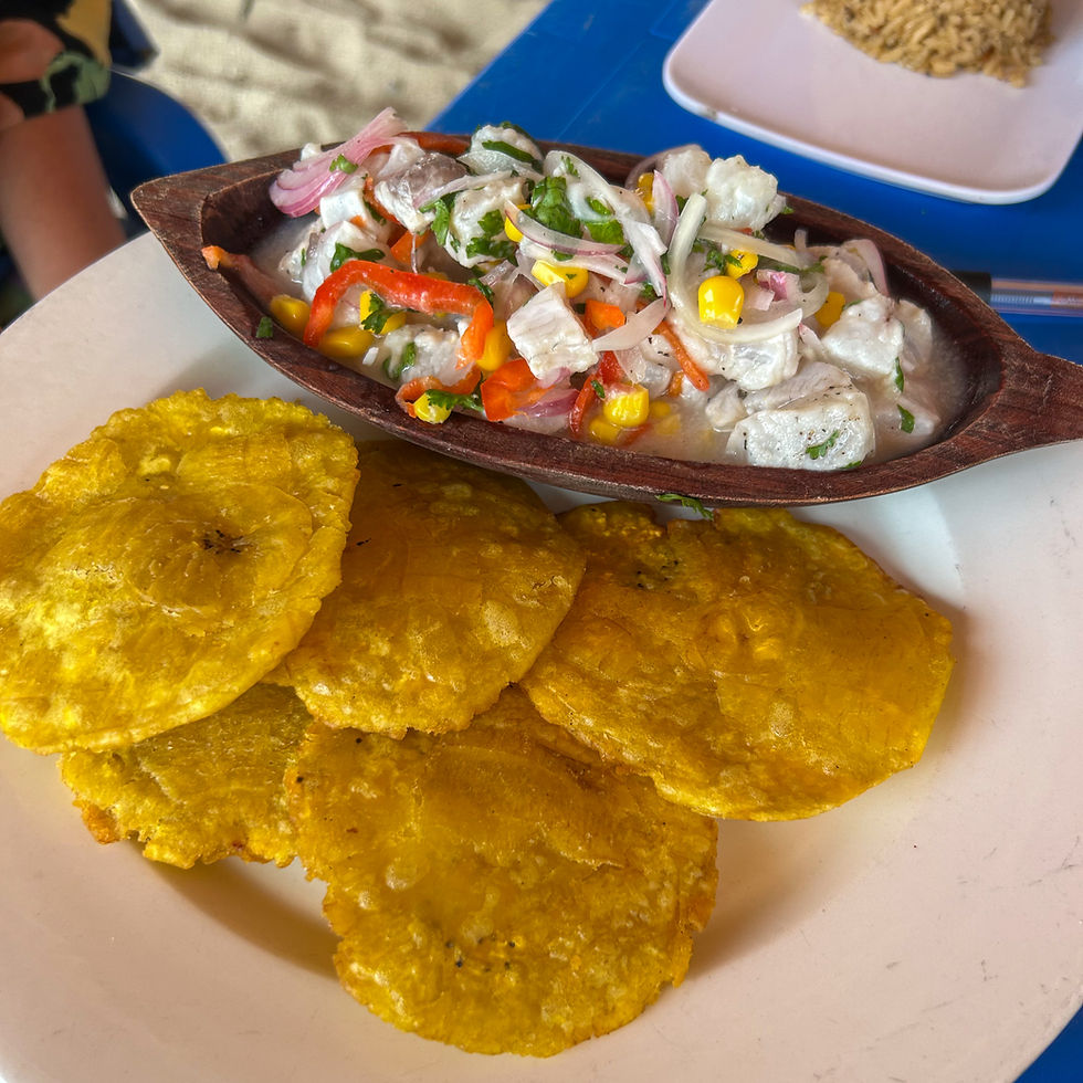 Ceviche and patacones by the beach in Rincon del Mar