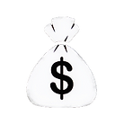 Money bag 
