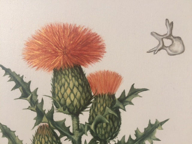 Thistle detail 2