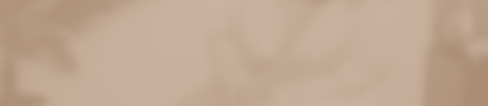 Alicia Nichelle Enterprises header 5.png
