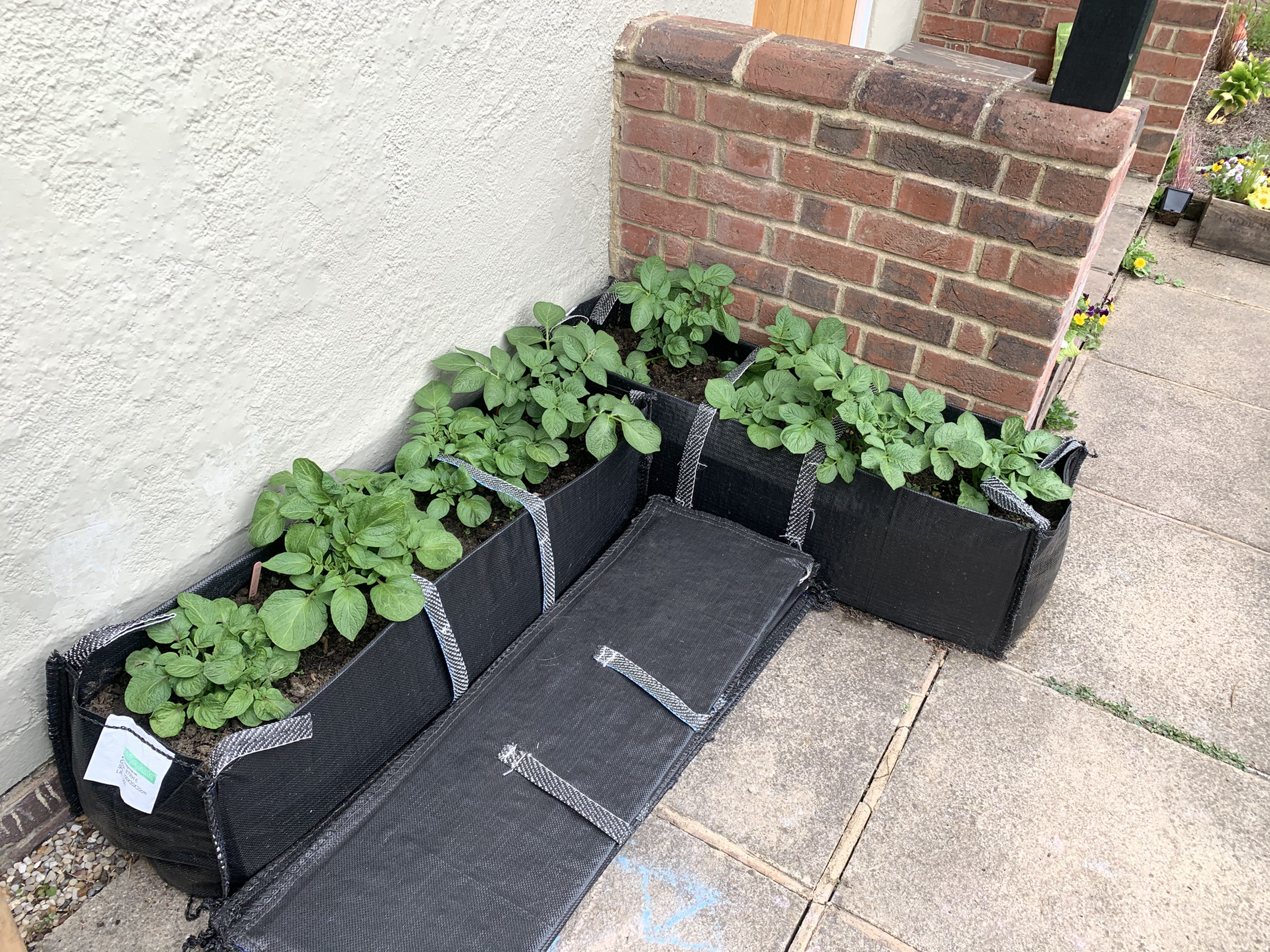 Planter Bag