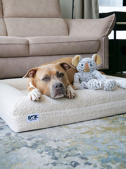 suns barkbed.jpg