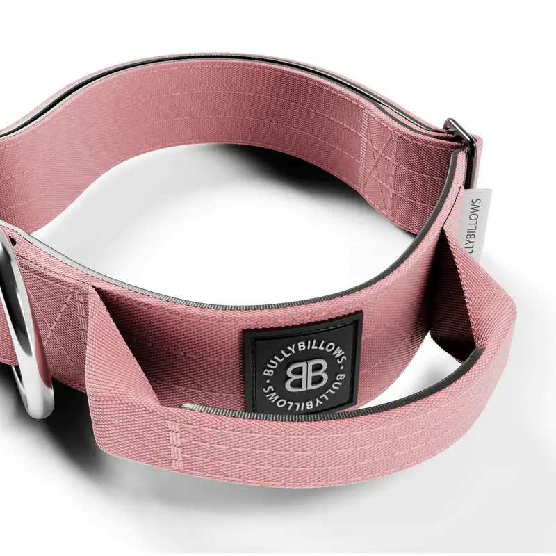 Thumbnail: 4cm Combat collar with handle - Pink
