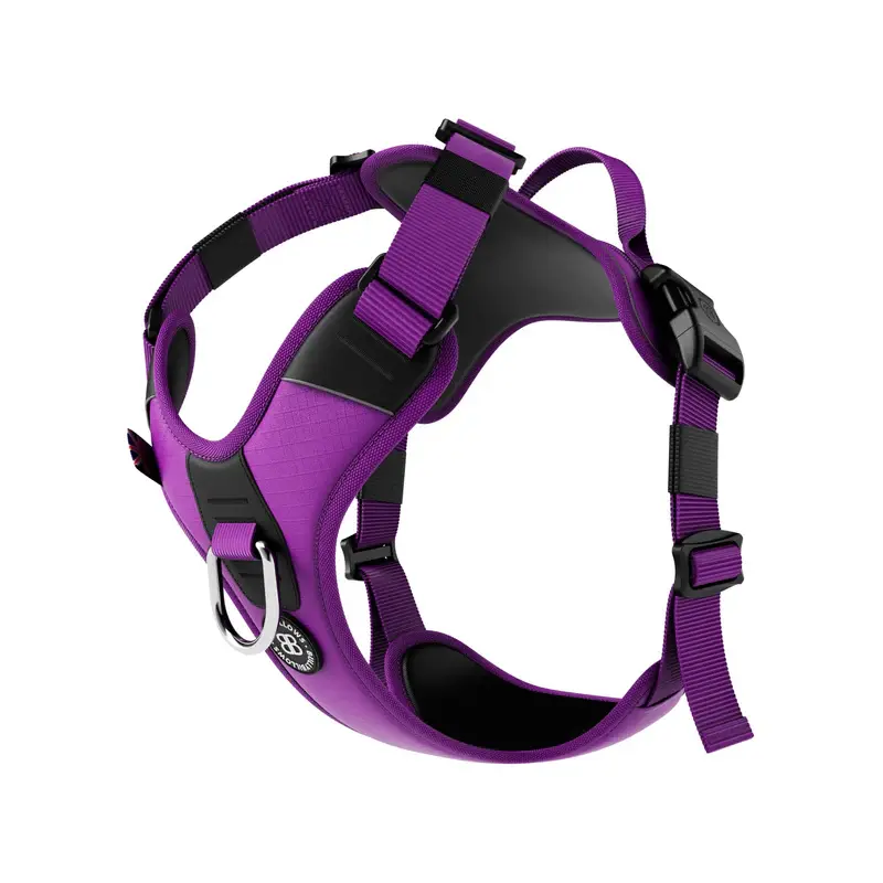 Harness | with handle & two D rings - Purple