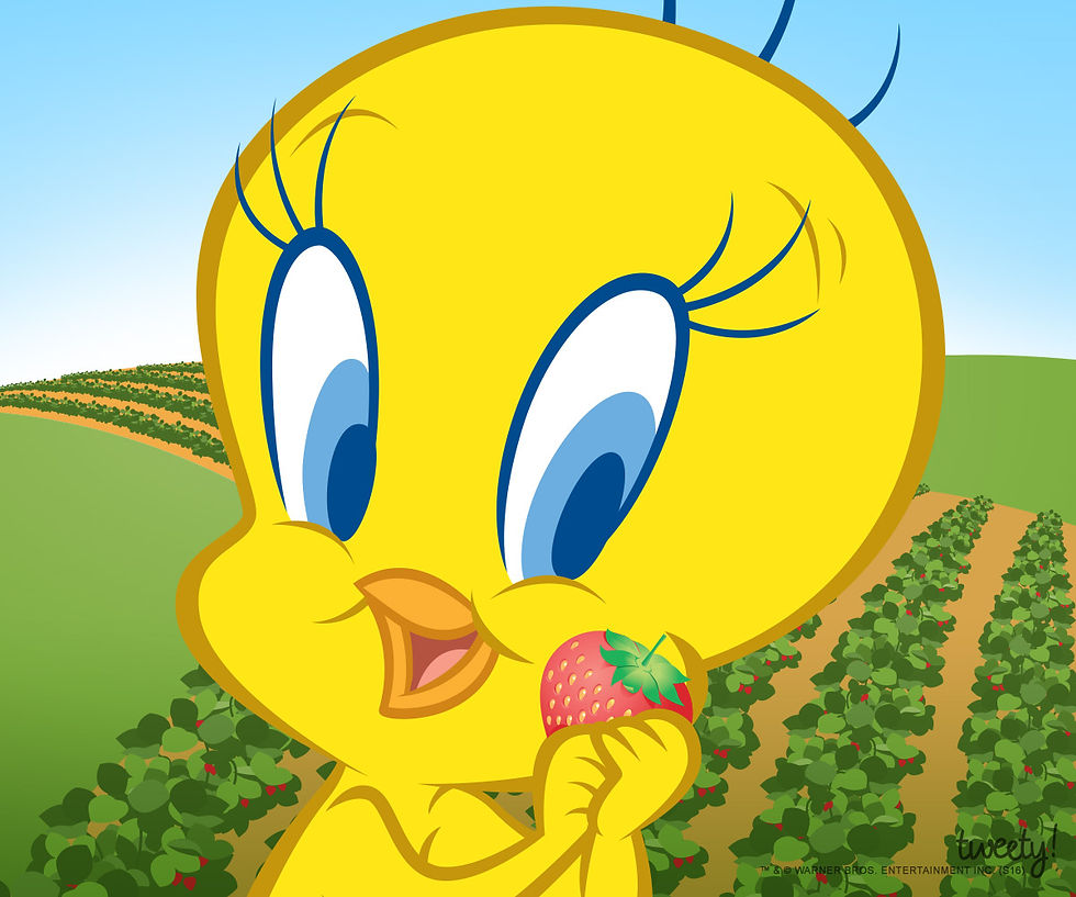 tweety_social_May_03_pickStrawberries_day