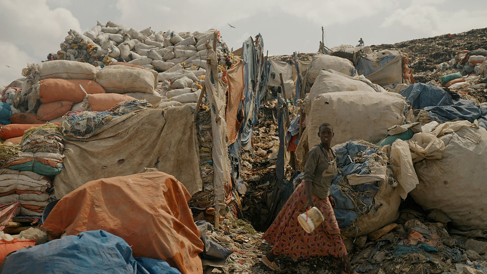 The Treasured Foundation