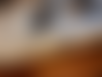 The Art of the Invisible: Why DIY Chip Repair Rarely Makes the Cut