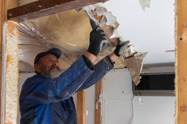 istockphoto-1483823665-612x612.jpg