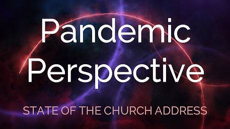 Pandemic Perspectives.jpg