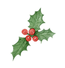 Illustration christmas.png