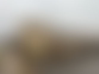 Bible Conference in Detroit