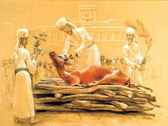 Tabernacle Lectures (63) Living sacrifice